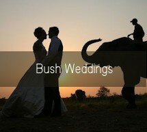Bush Weddings